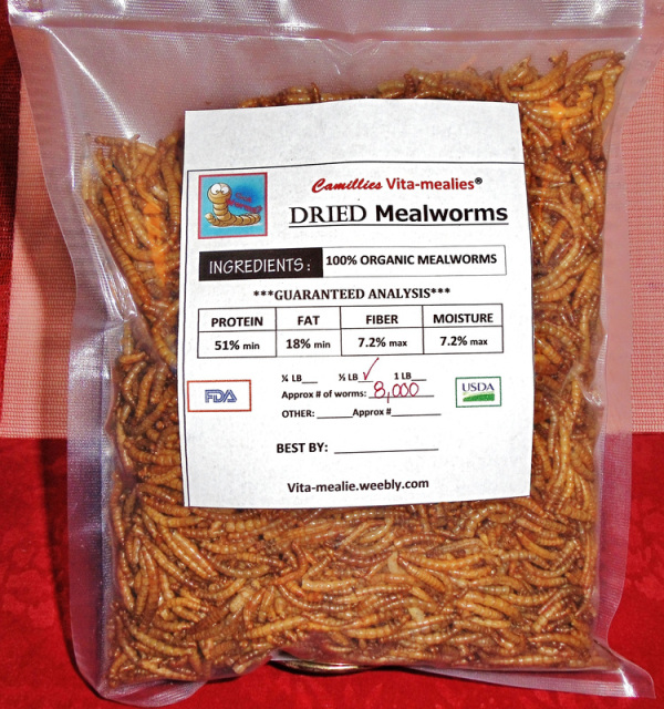 download dried mealworms